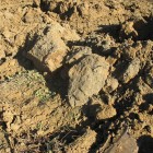 Terroir du Château Petit Roc